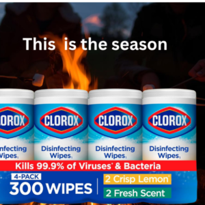 Clorox Disinfecting Cleaning Wipes Variety Pack,
